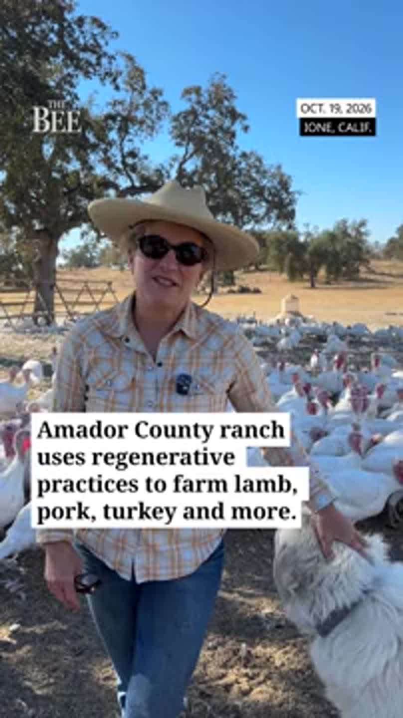 See ranch that uses regenerative practices to raise lamb, pork, turkey and more (Video)