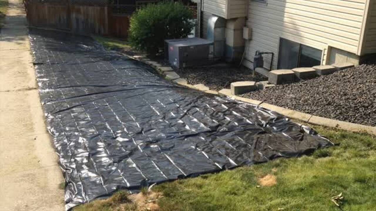 Want to save time and money? Kill your lawn and embrace drought-resistant plants