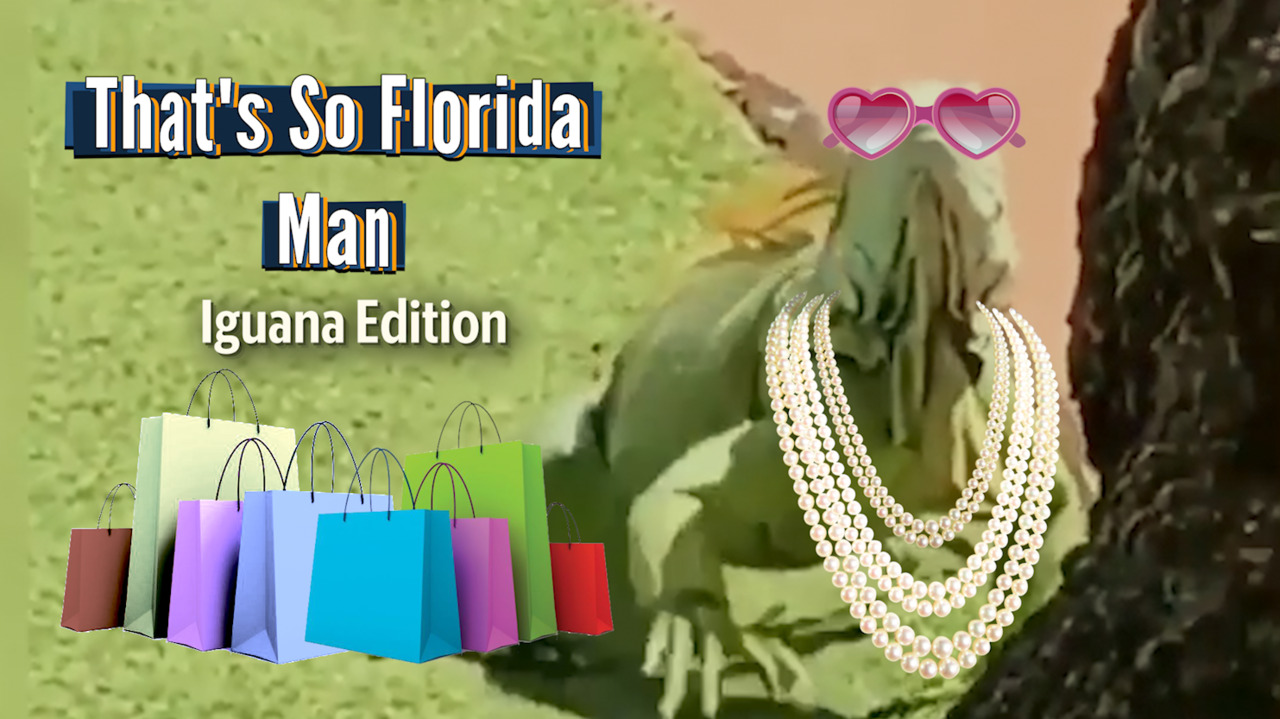 That’s So Florida, Man: Iguana Edition