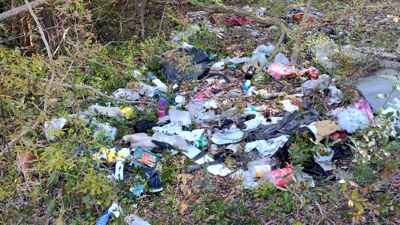 Outrage prompts town hall as homeless population balloons in South MS