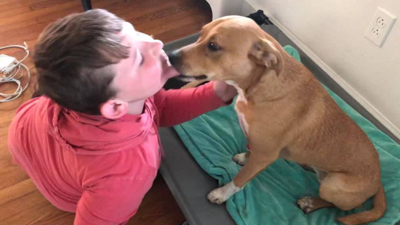 Puppy stuck in well had water up to its neck as off-duty NC cop came to help, boy says