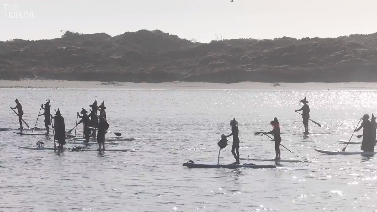 Halloween witches cackle as they paddle this West Coast bay