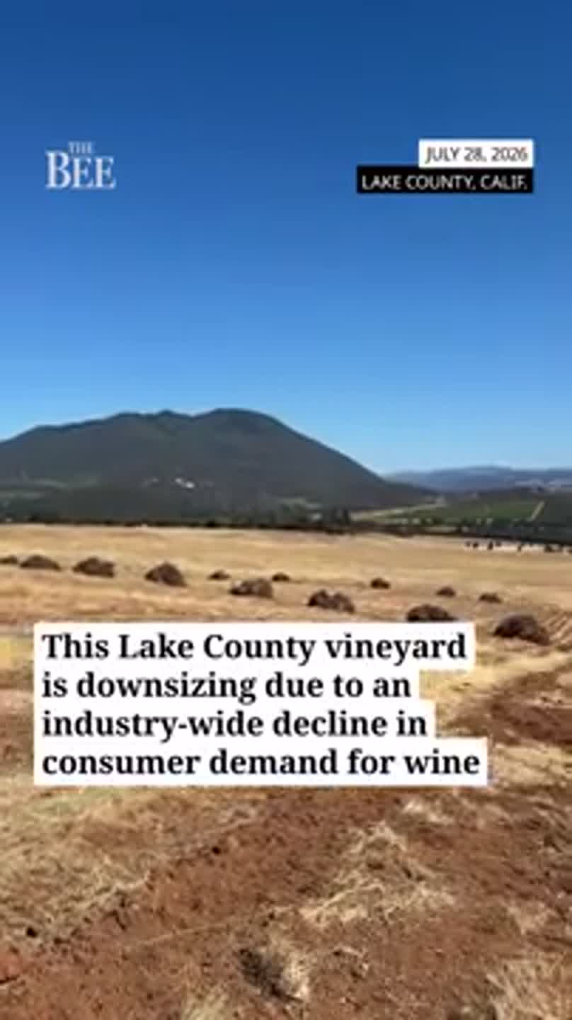 See why this Lake County vineyard is reducing its operations by over 800 acres