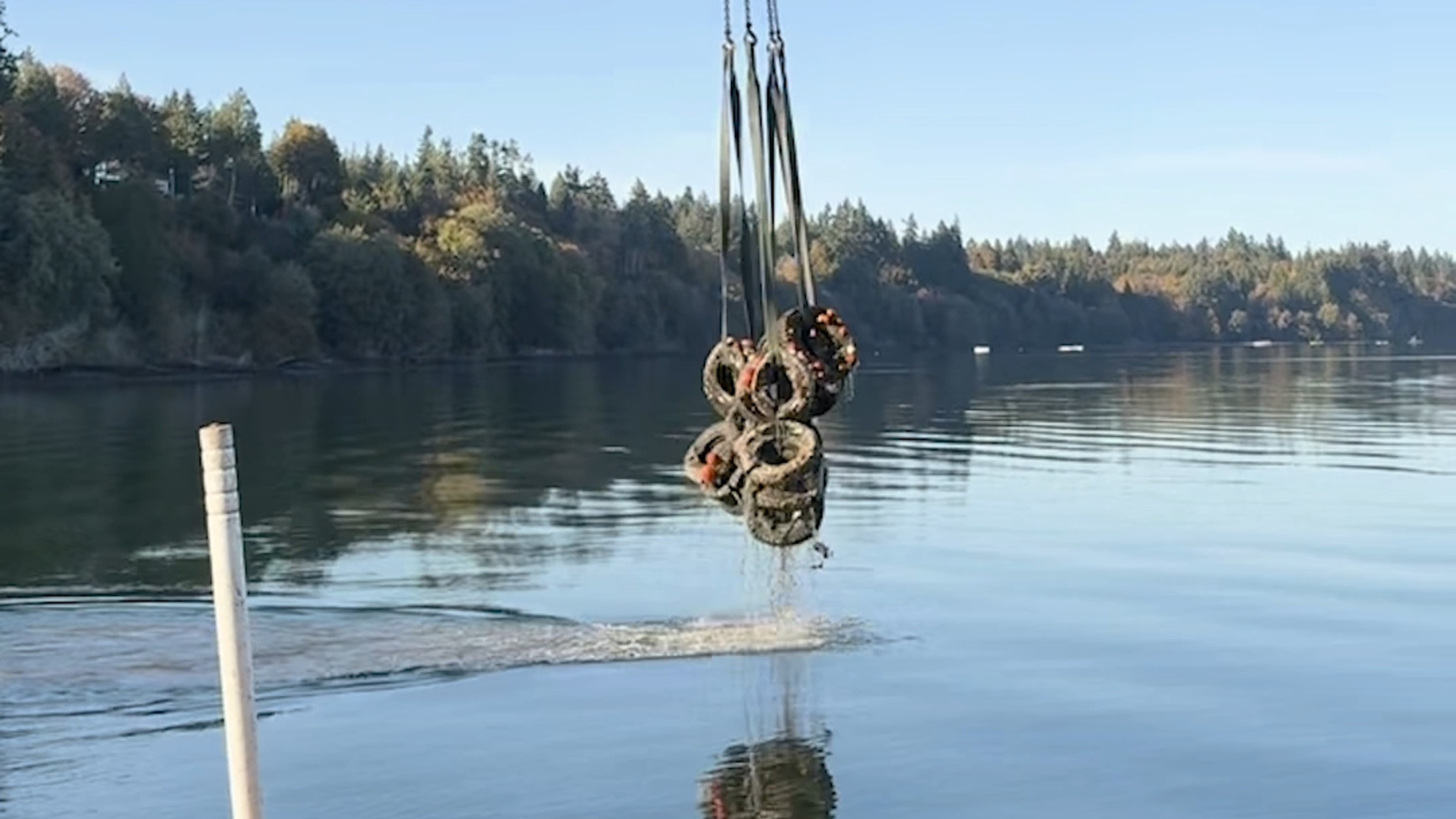 WA state removes 2,000 tires offshore of Thurston Co. park