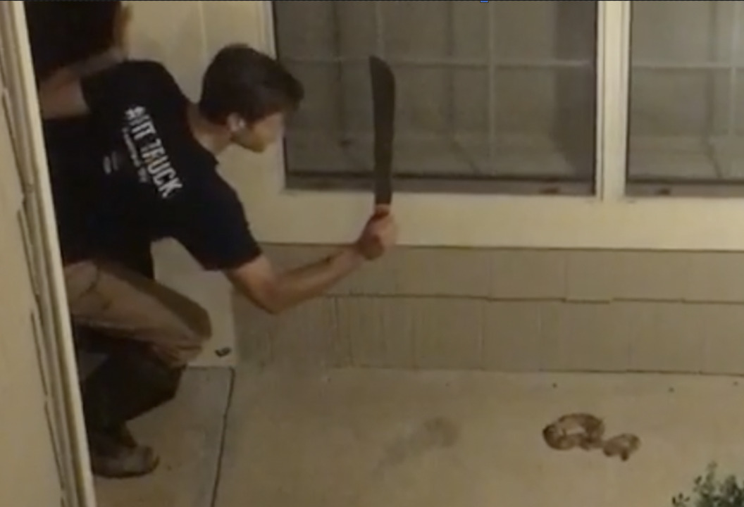 NC man decapitates mating copperhead snakes with machete