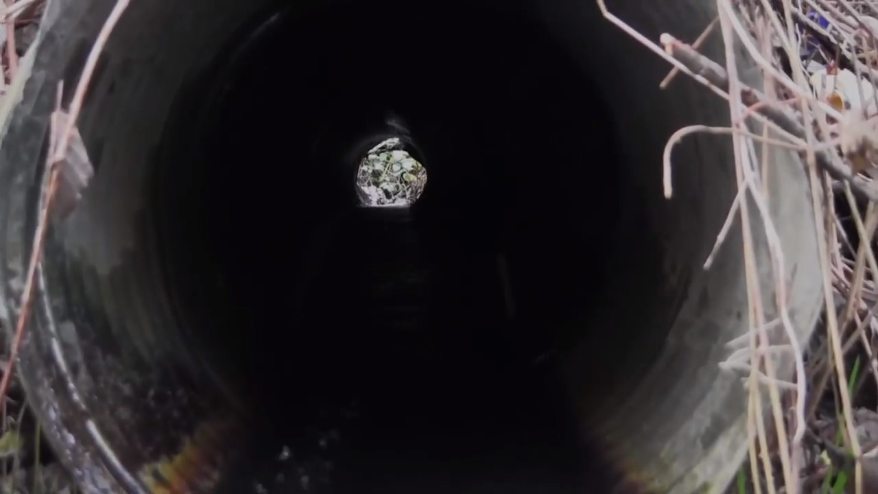 This is ‘once-in-a-generation opportunity’ to help reconnect salmon habitat | Opinion