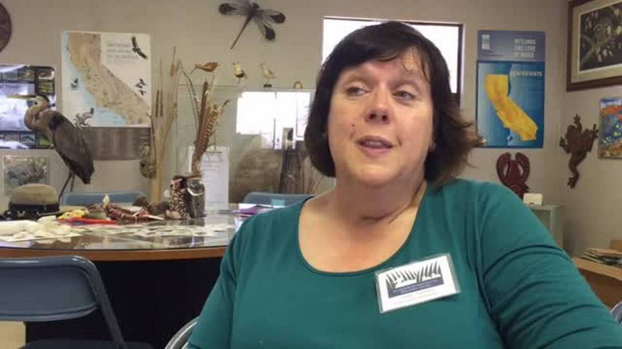 Migrating birds, school buses flock to Los Banos wetlands