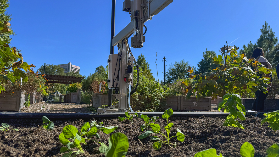 Can Artificial Intelligence and Robotics help agriculture production in Georgia?