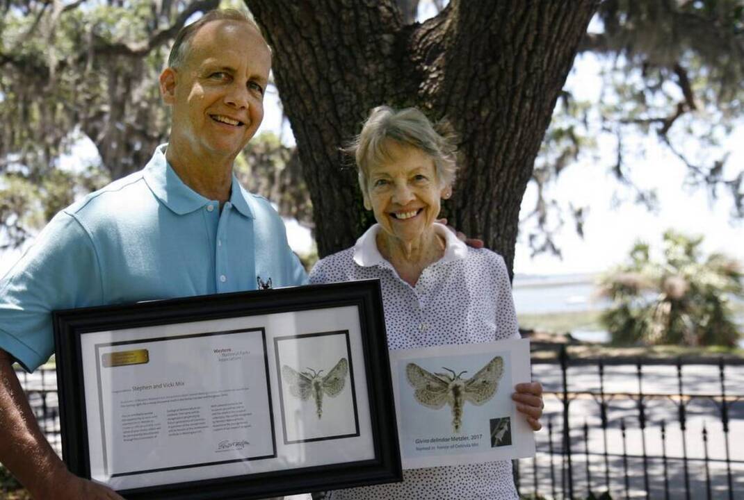 How do you tell a moth from a butterfly?