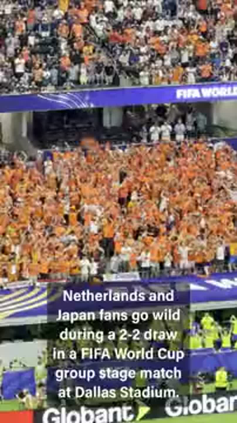 Japan, Netherlands fans celebrate goals at Dallas Stadium World Cup match