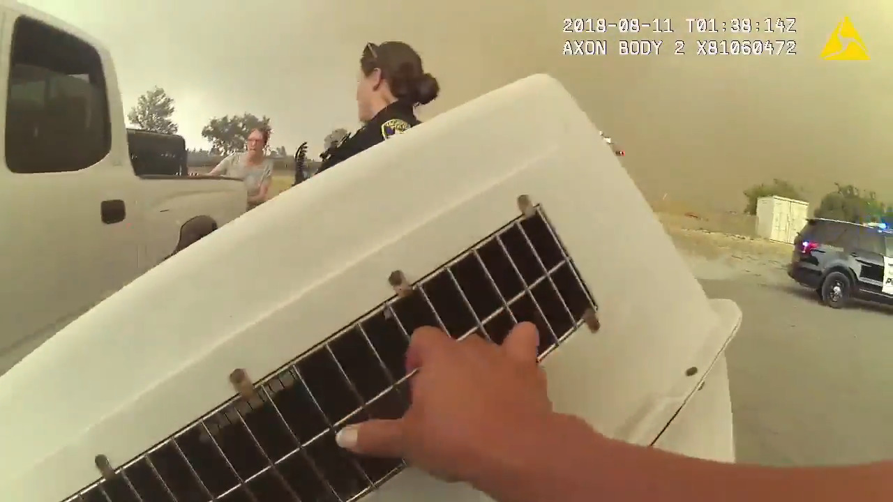 California police rush to evacuate animal shelter as wildfire nears