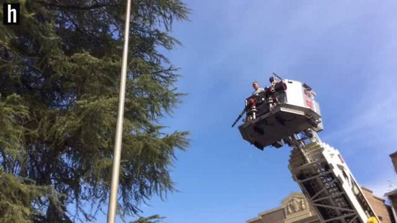 York “uproar” saved courthouse Christmas Tree. Now it has lights in time for Santa