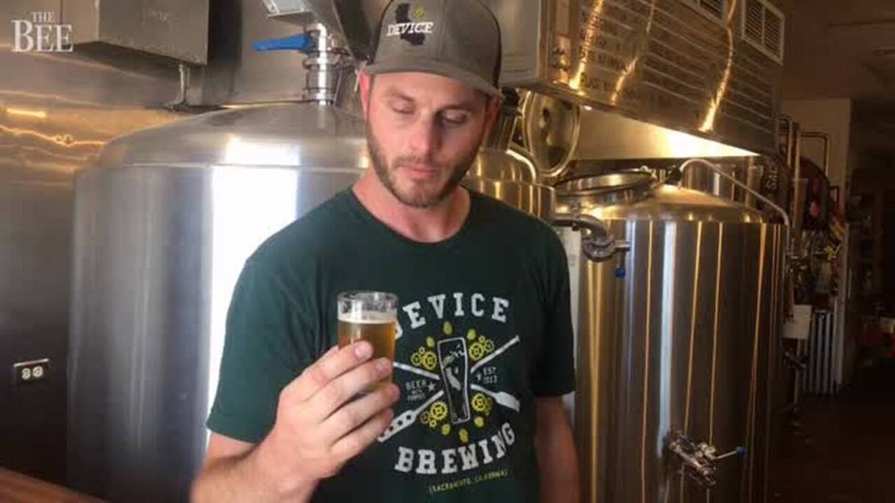 From light blonds to stout Russians, Device Brewing serves up variety