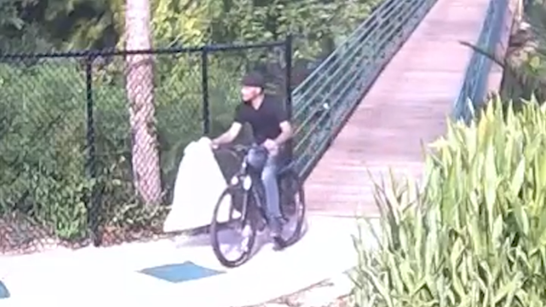 Video footage captures Saint Stephen's burglar, police say