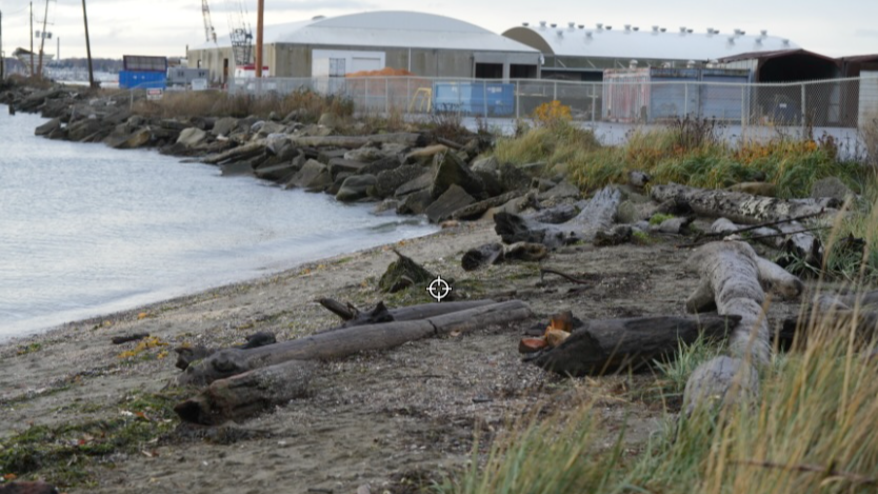 Glass Beach in Bellingham to close as part of toxic site cleanup and new park construction