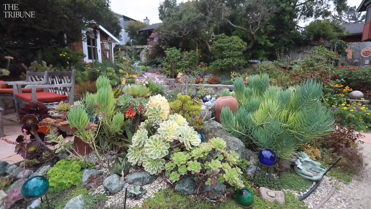 Susie Hubbard’s garden in Los Osos an oasis in a compact space