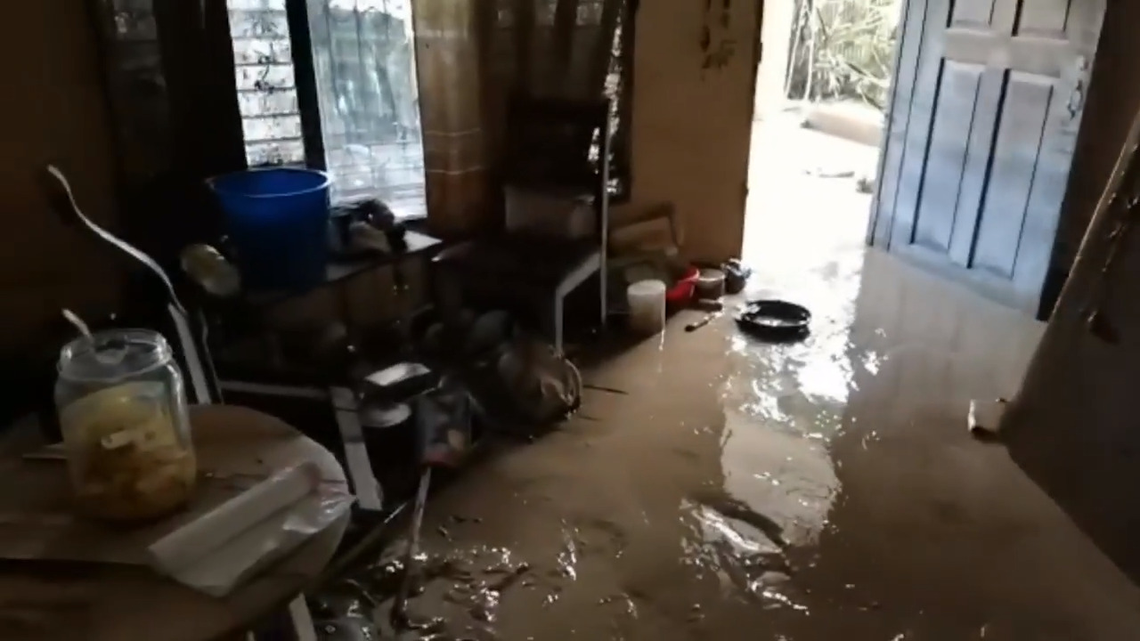 Trump’s climate policies are a disaster. For Florida’s sake, Biden should undo them — quickly | Editorial