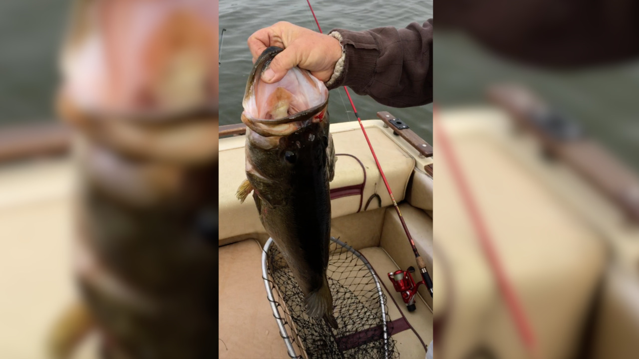 Fishing report for week of March 13-19: Good bass bite up and down Central California