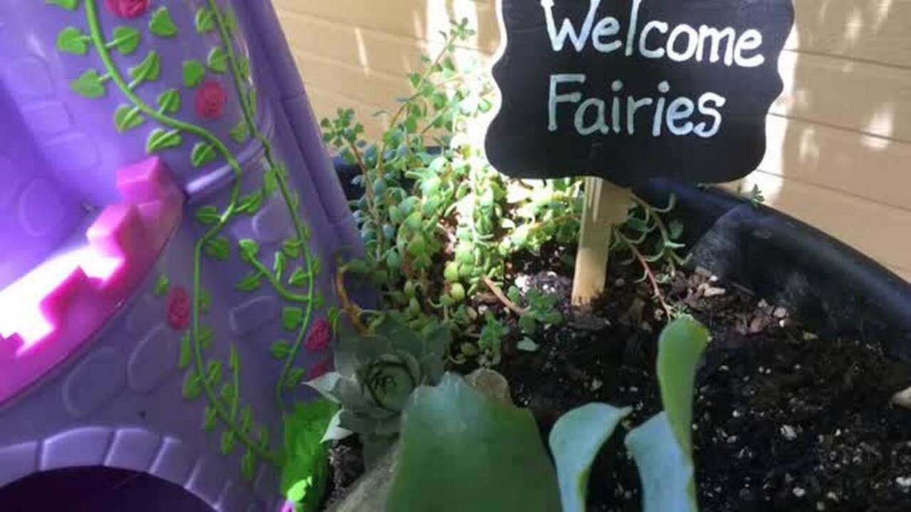 Dig In video series: Build mini gardens for fairies, dinosaurs and zombies