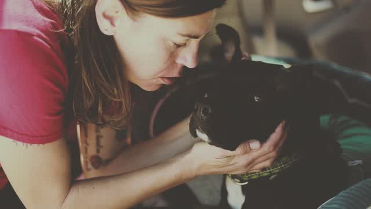 Humane Society of South Mississippi wins contest and $10,000 