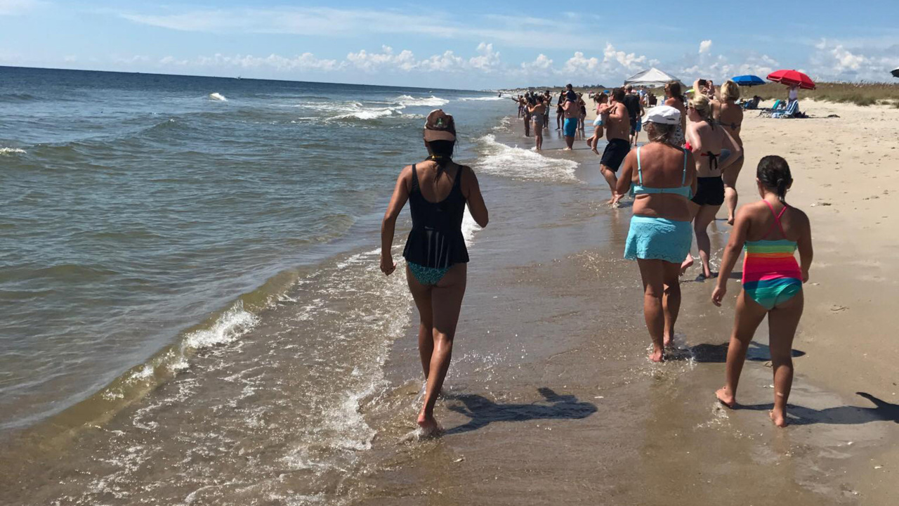 Shark in shallow water at Bald Head Island NC | Raleigh News & Observer