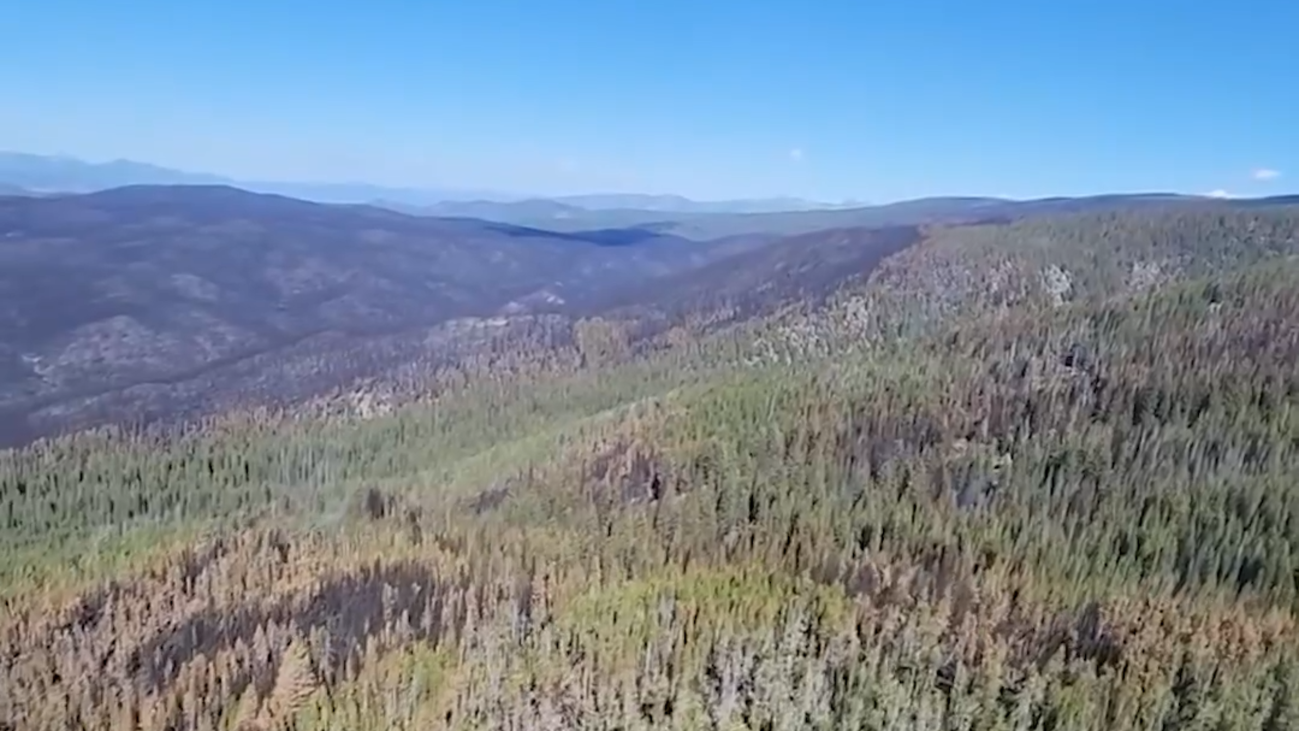 Forest Service OKs Idaho group’s request to use banned chainsaws in wilderness