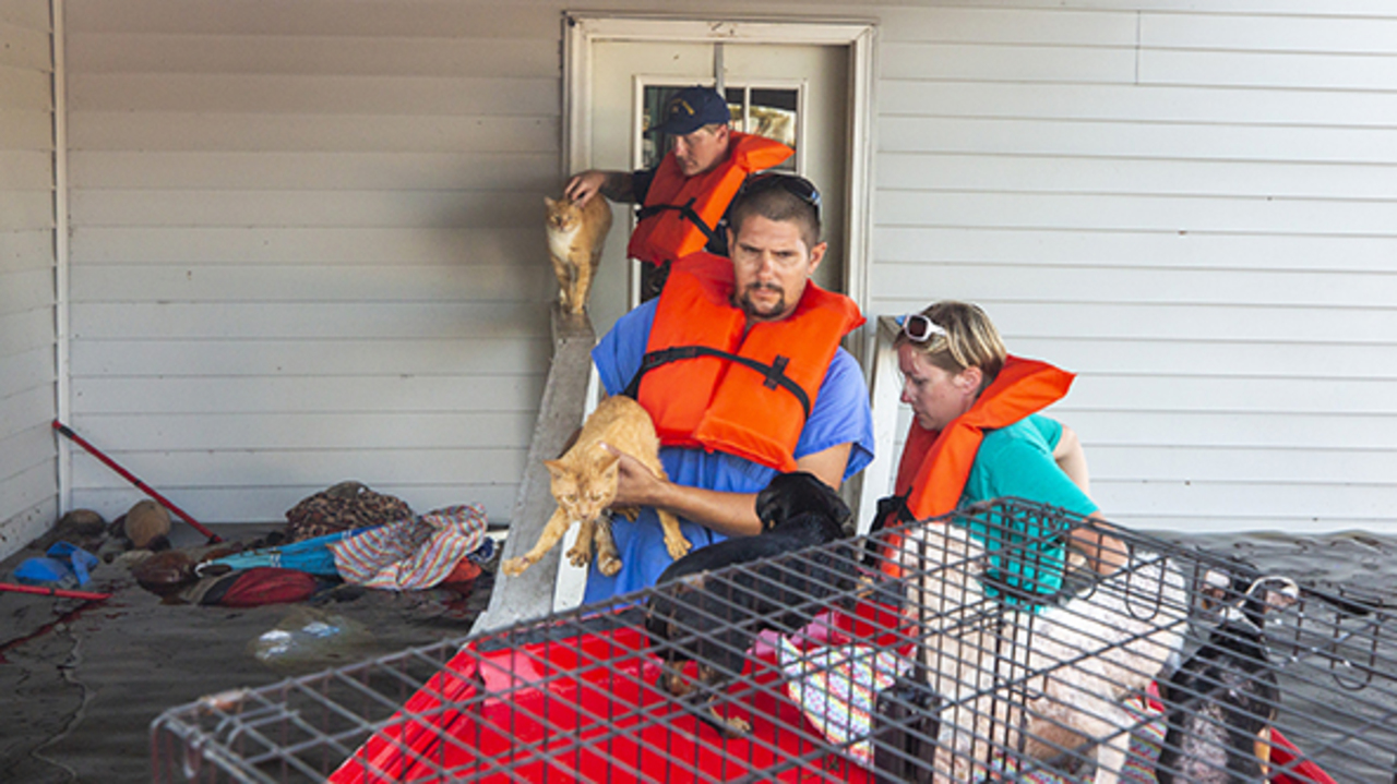 On tiny Crusoe Island, couple helps guide Coast Guard’s rescue of people and animals