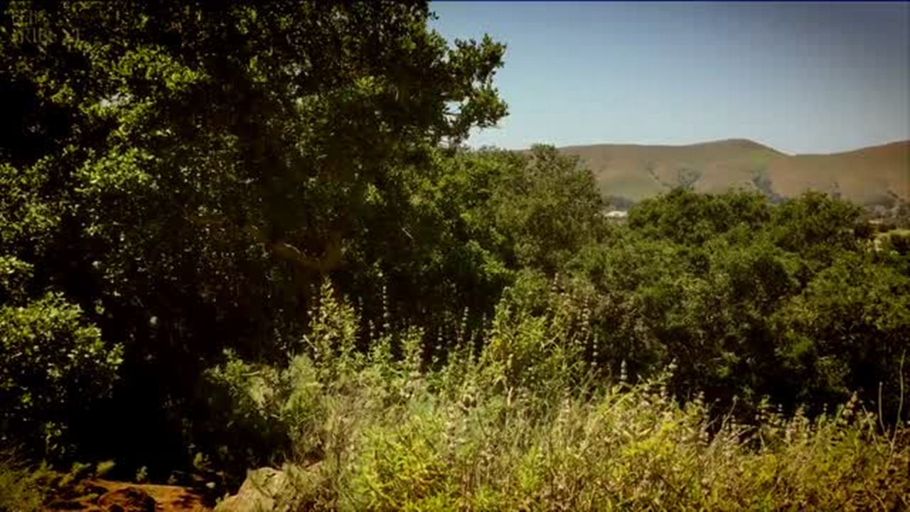 Hiking Eagle Rock Nature Trail