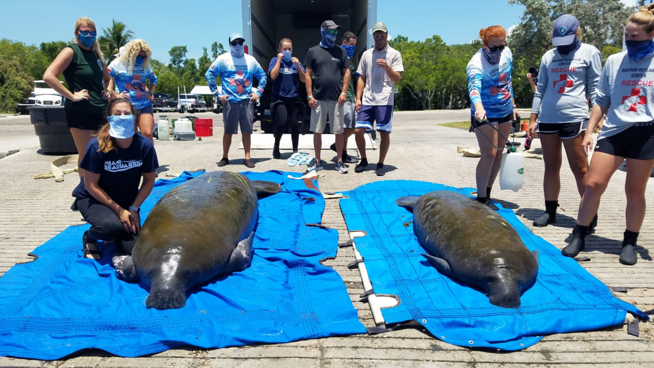 Two men rescued by Miami Beach Coast Guard crew after their boat capsizes near Seaquarium