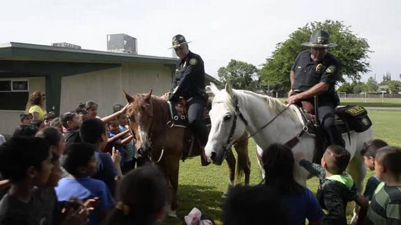 Livingston gets third police horse