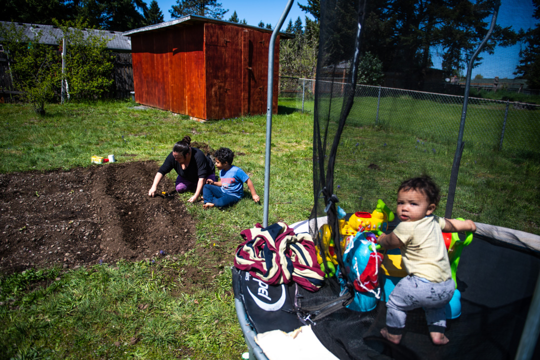 Coronavirus fears and hopes are creating a new legion of home vegetable gardeners