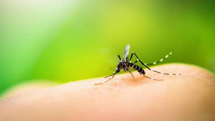 West Nile virus cases increasing across the nation