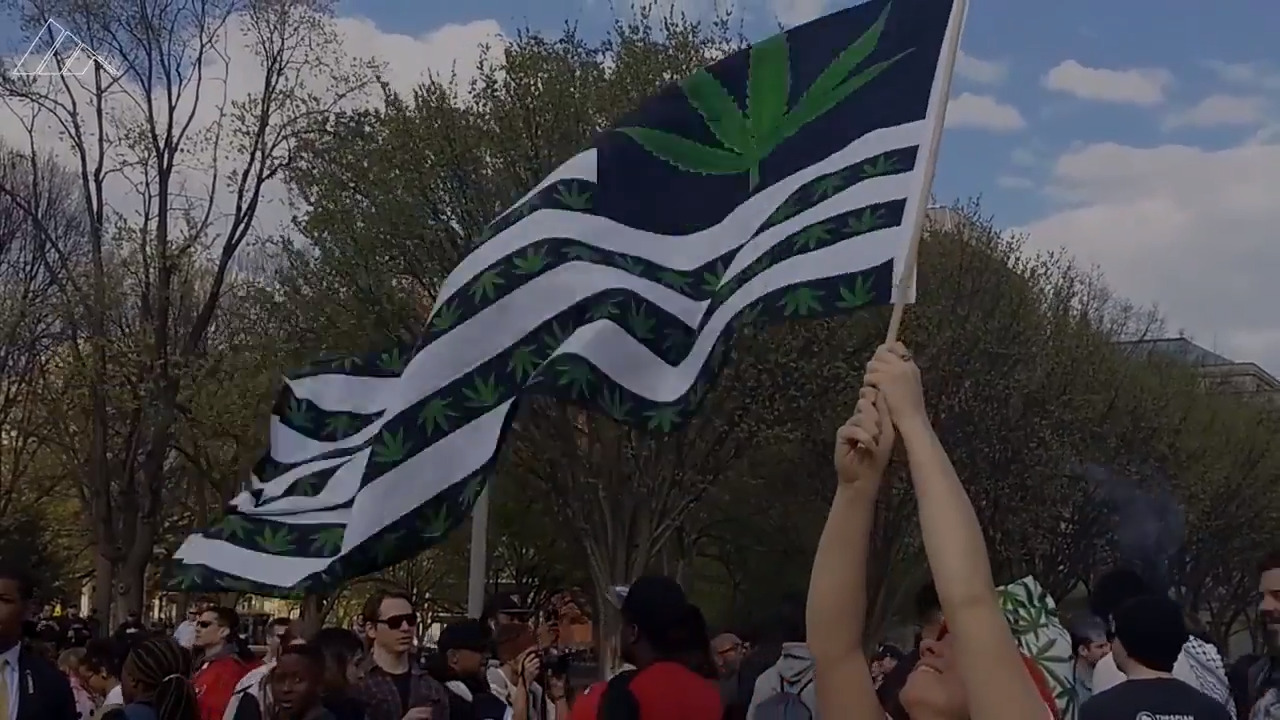 Pot’s legal in California. So why are people still getting busted in Yosemite?