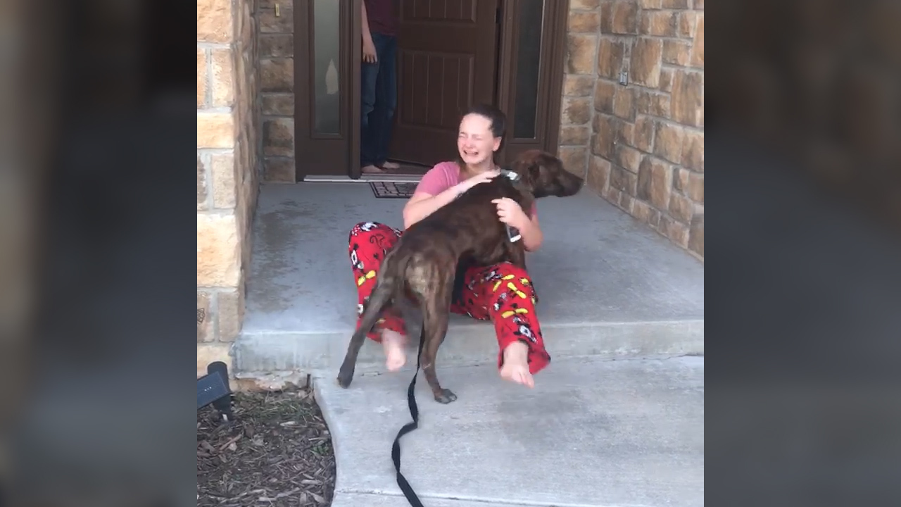 Parents surprise daughter with dog she visited often at shelter