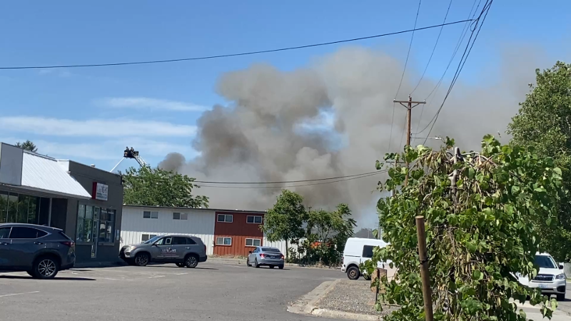 Pullen Street 'junkyard' house fire
