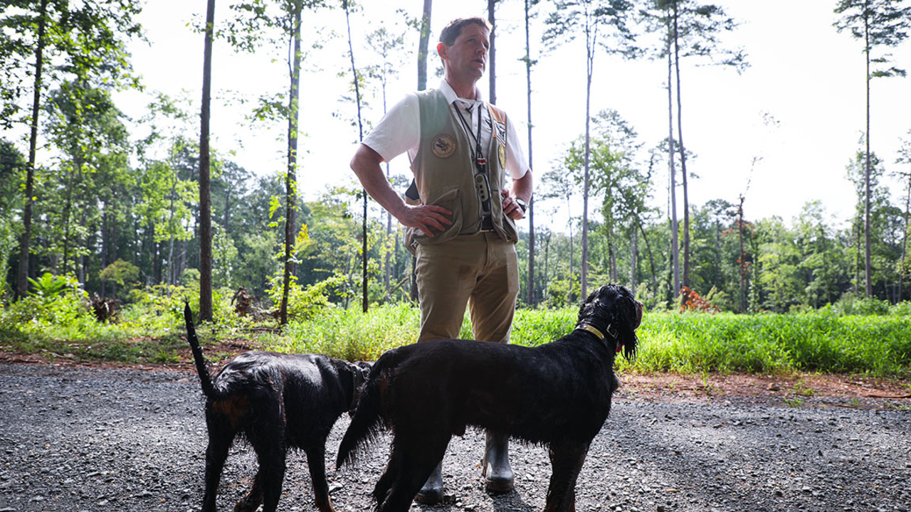 Are hunters an endangered species? Voters will decide if hunting rights need protecting