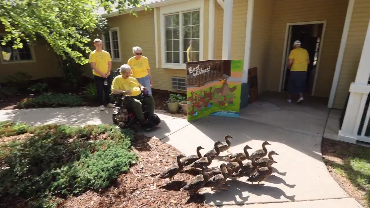 COVID bonding: A Kansas goodbye to a family of ducks