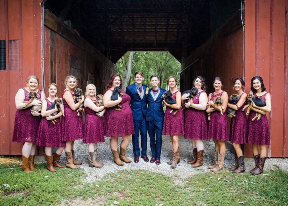 Ten adoptable puppies make a special appearance at a wedding — as the ‘bouquets’