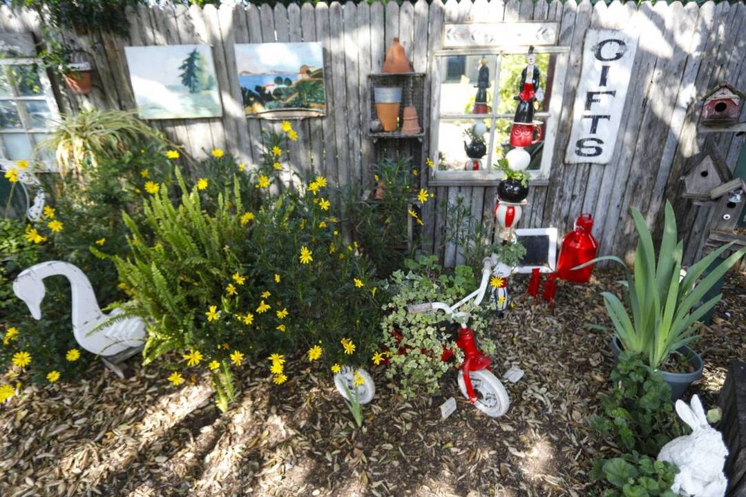 Take a tour of Bobbye West Thompson's Los Osos garden