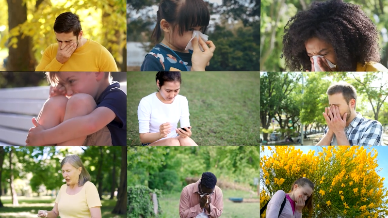 What allergy medication should you take?