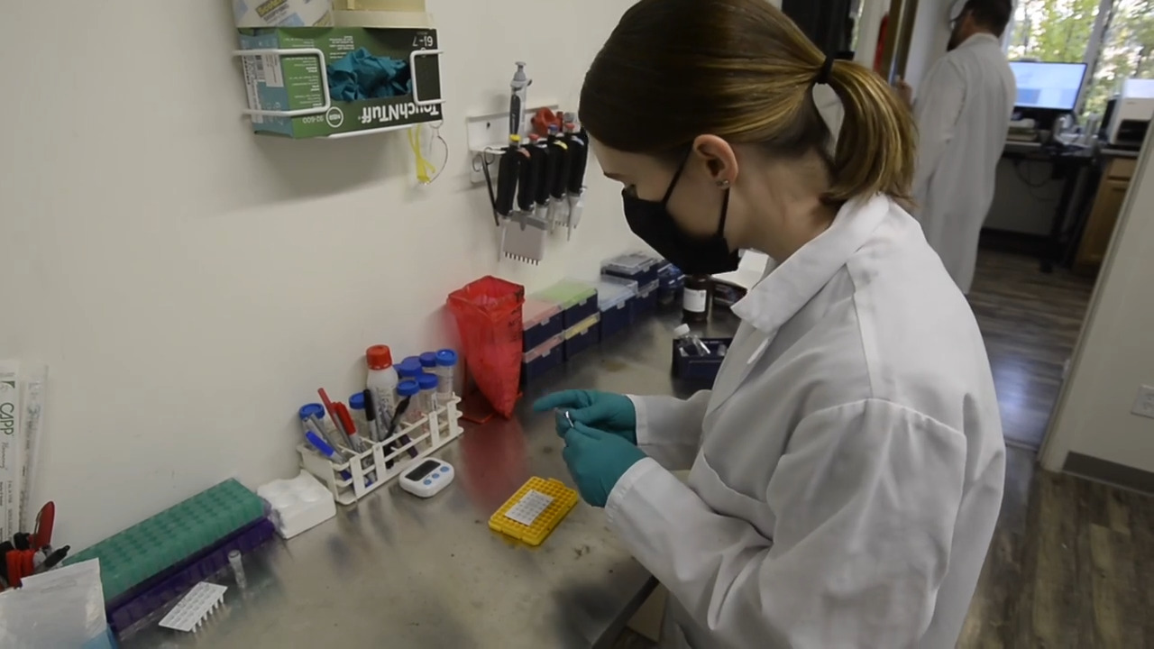 Here’s where Whatcom sewage is being sampled for COVID-19 and what it might tell us