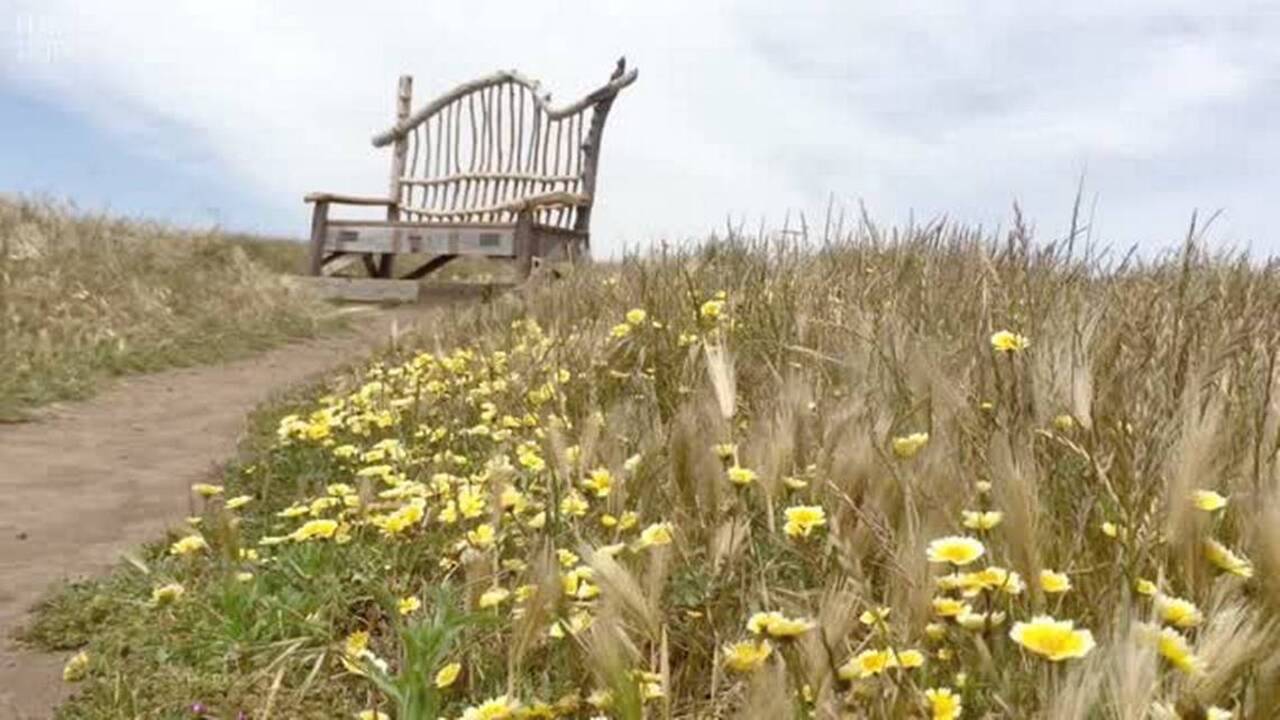 Hiking the Cambria Bluff Trail
