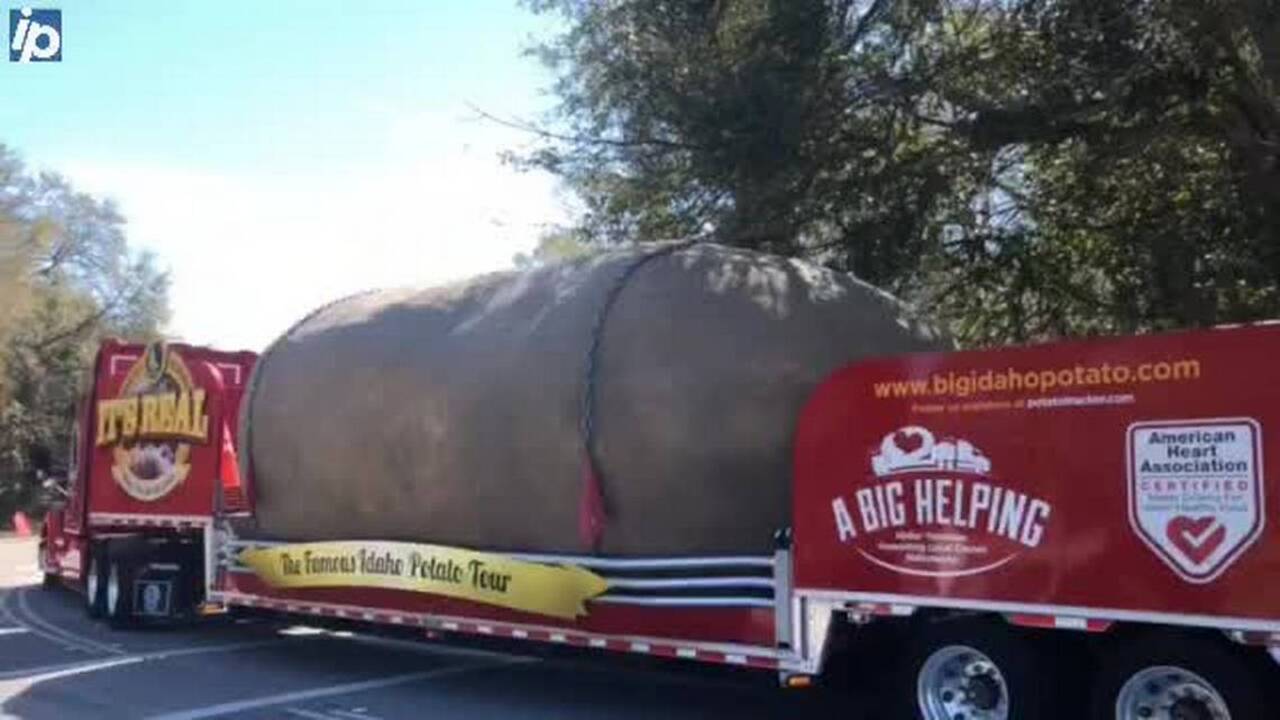 Yes, that was a giant potato that you just saw in the Lowcountry