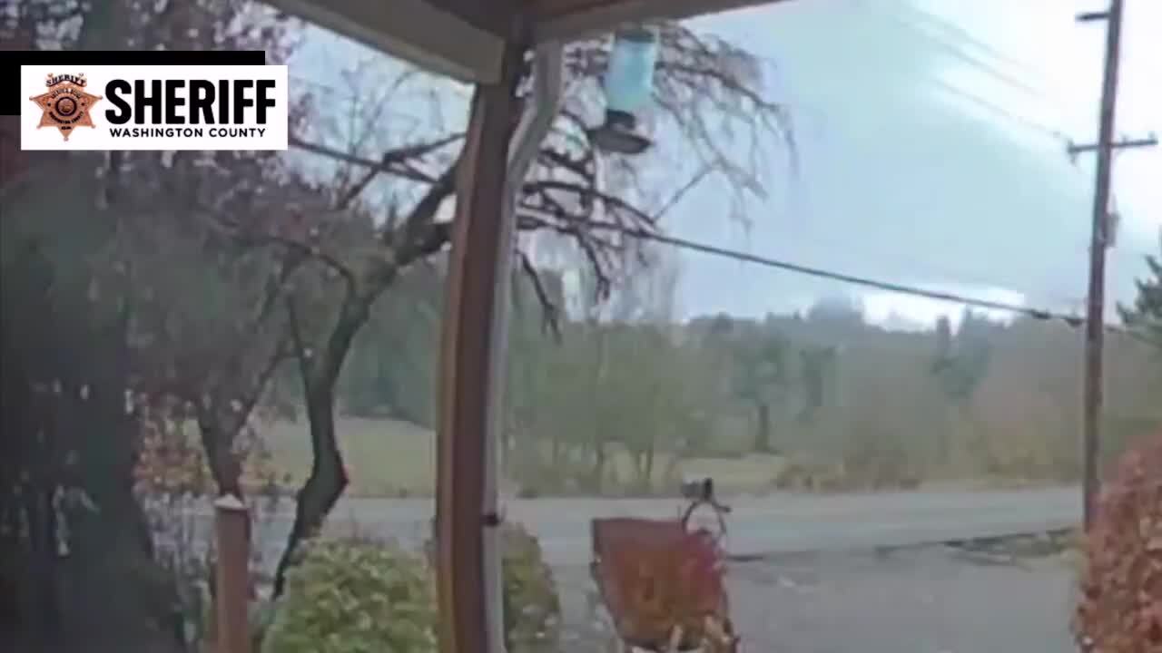 Video shows impaired bus driver crash into ditch with 10 kids aboard ...