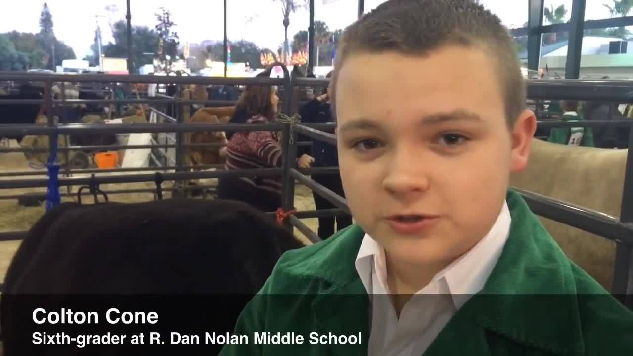 Steer Show champions crowned at Manatee County Fair 