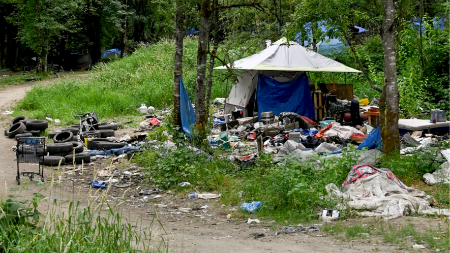 Olympia mayor says 'Jungle' encampment won't be closed this year