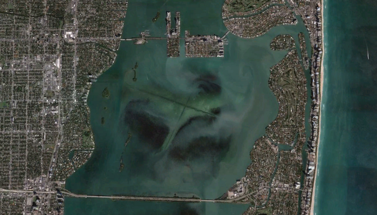 ‘Complicated road to recovery’: New Biscayne Bay board targets septic-to-sewer conversion