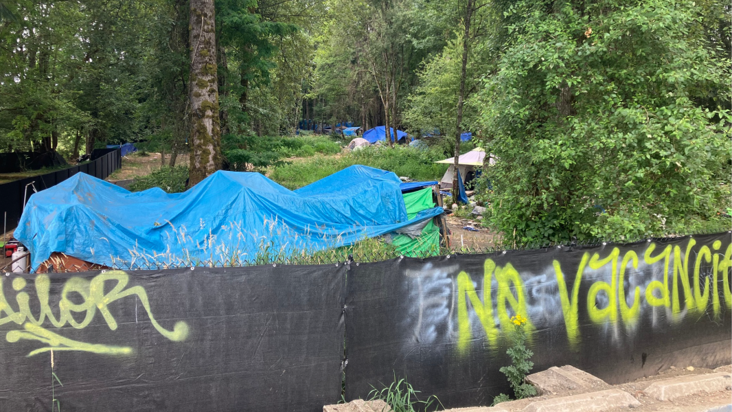 City of Olympia creates by-name list of Jungle residents