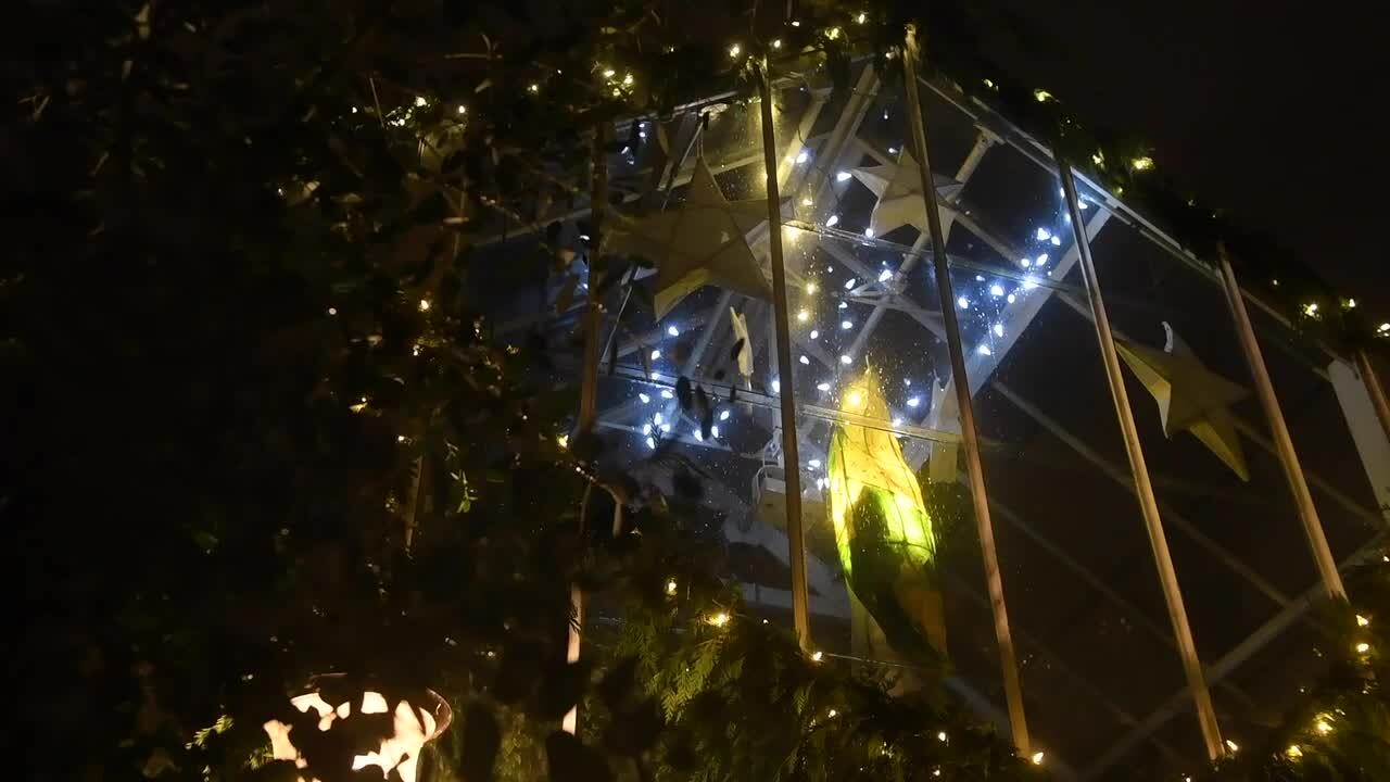 Glowing whales, flashing dragon bring unity and hope through Tacoma Light Trail