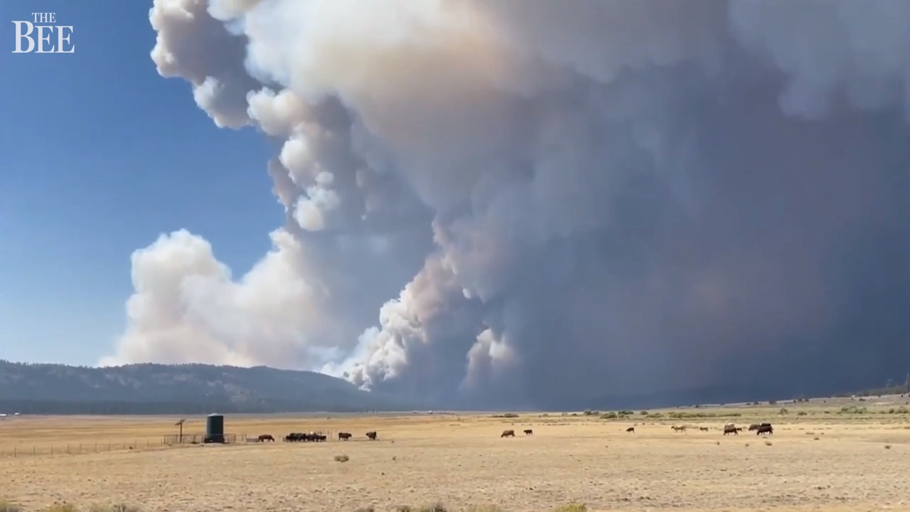 Firefighter working on Dixie Fire dies of illness as the blaze continues to spread